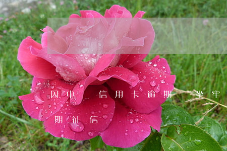 因中風信用卡逾期會坐牢嗎(因坐牢信用卡逾期征信)