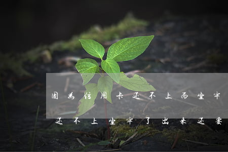 因为信用卡还不上而坐牢划算吗-欠信用卡还不上坐牢了出来还要还吗