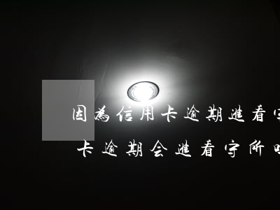 因为信用卡逾期进看守所会挨打吗-看信用卡逾期会进看守所吗