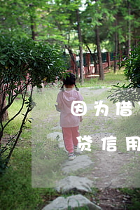 因为借贷信用卡来回还最后还不上-因为借贷信用卡来回还最后还不上怎么办