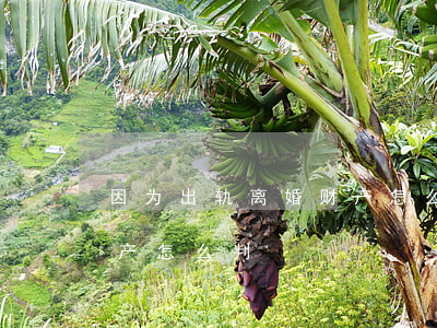 因为出轨离婚财产怎么判(离婚法一方出轨财产怎么判)