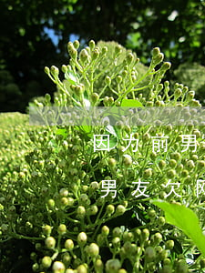 因为前男友欠了网贷现男友还(女朋友因为前男友欠网贷)
