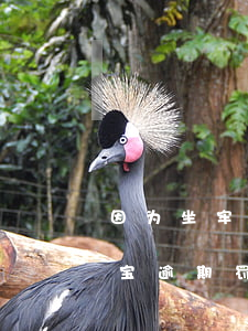 因为坐牢支付宝导致逾期罚息可以减免（支付宝逾期罚息那么高算高利吗）