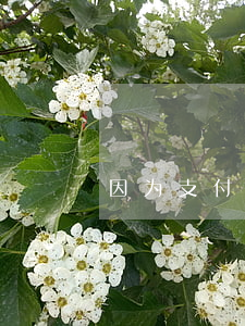 因为支付宝降额导致逾期(支付宝逾期降额度)