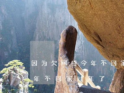 因为欠网贷今年不回家过年了(因为欠网贷今年不回家过年了)