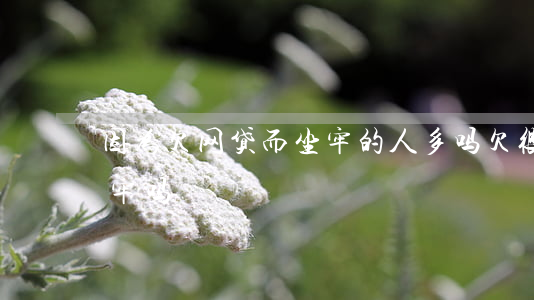 因为欠网贷而坐牢的人多吗(欠很多网贷会坐牢吗)
