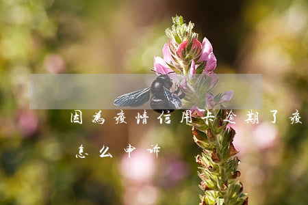 因为疫情信用卡逾期了(疫情期间信用卡逾期怎么申诉)