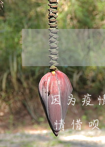 因为疫情借呗逾期半年会被起诉吗-因为疫情借呗逾期半年会被起诉吗知乎