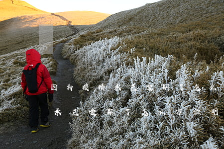 因为疫情承兑逾期了怎么写证明-因为疫情承兑逾期了怎么写证明书