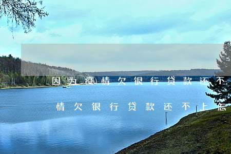 因为疫情欠银行贷款还不上怎么办-因为疫情欠银行贷款还不上怎么办