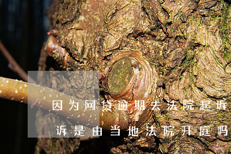 因为网贷逾期去法院起诉 网贷逾期如果被起诉是由当地法院开庭吗