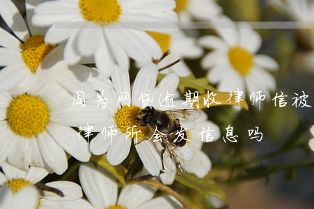 因为网贷逾期收律师信被单位开除 网贷逾期律师所会发信息吗