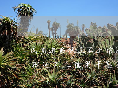 因为进监狱还不上信用卡怎么办-因为进监狱还不上信用卡怎么办呢