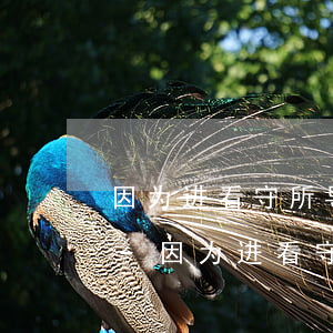 因为进看守所导致贷款逾期一个月能解决嘛-因为进看守所导致贷款逾期一个月能解决嘛