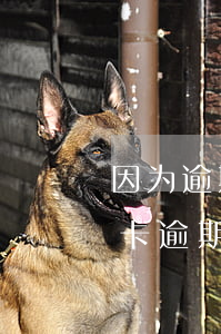 因为逾期冻结的信用卡可以解冻吗（建行信用卡逾期被冻结能解冻吗）