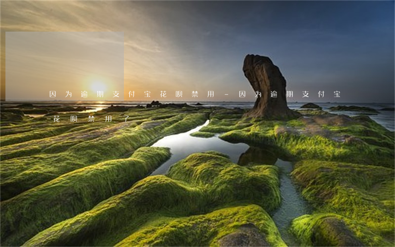 因为逾期支付宝花呗禁用-因为逾期支付宝花呗禁用了