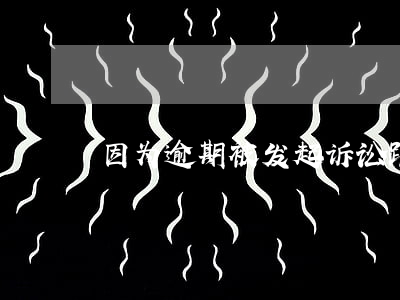 因为逾期被发起诉讼（跟法院申请逾期）