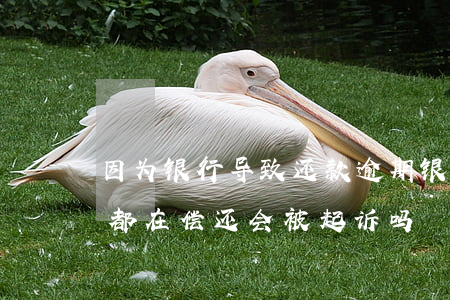 因为银行导致还款逾期(银行贷款逾期,每个月都在偿还,会被起诉吗)