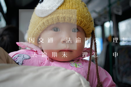 因交通違法逾期未處理怎樣申請-因交通違法逾期未處理怎樣申請強制執(zhí)行