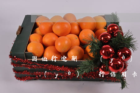 因他行逾期興業(yè)信用卡停止使用(興業(yè)銀行信用卡 逾期一天)