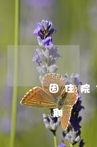 因住院信用卡逾期(發(fā)生過信用卡逾期)
