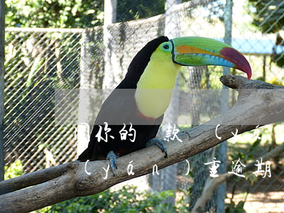 因你的貸款嚴(yán)重逾期(因你貸款嚴(yán)重逾期,現(xiàn)已申請(qǐng)全網(wǎng)公示花唄)