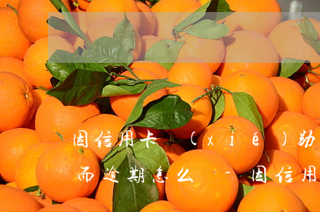 因信用卡協(xié)助調(diào)查而逾期怎么辦-因信用卡協(xié)助調(diào)查而逾期怎么辦理