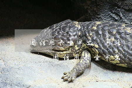 因信用卡坐牢出來可以協(xié)商還款嗎-因信用卡坐牢出來可以協(xié)商還款嗎知乎