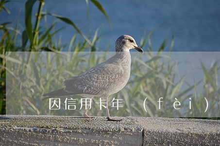 因信用卡年費(fèi)逾期不能貸款嗎