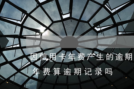 因信用卡年费产生的逾期可以消除吗（信用卡年费算逾期记录吗）