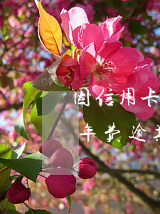 因信用卡年费产生的逾期可以消除吗（信用卡年费逾期怎么向银行证明）
