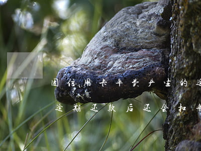 因信用卡年费产生的逾期可以消除吗（信用卡逾期还款后还会扣年费吗）