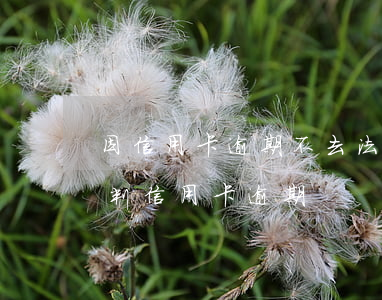 因信用卡逾期不去法院會怎么樣-法院如何判信用卡逾期