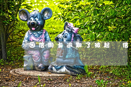 因信用卡逾期了被起訴(信用卡逾期被起訴后)