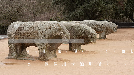 因信用卡逾期儲(chǔ)蓄卡被止付合法么-因信用卡逾期儲(chǔ)蓄卡被止付合法么