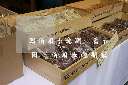 因信用卡逾期儲蓄卡凍結(jié)(銀行卡因為信用卡逾期被凍結(jié)怎么辦)