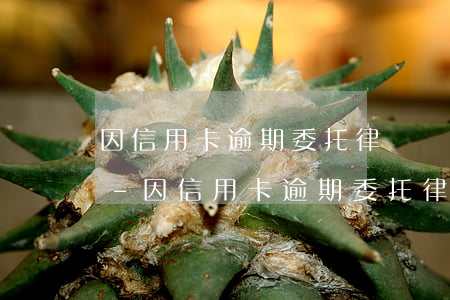因信用卡逾期委托律師談判費(fèi)用-因信用卡逾期委托律師談判費(fèi)用誰(shuí)承擔(dān)