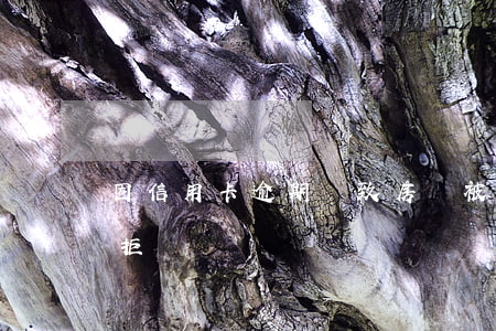 因信用卡逾期導致房貸被拒(一次逾期房貸被拒)