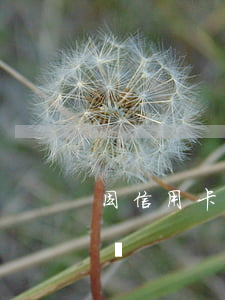 因信用卡逾期怎么申訴-有信用卡逾期怎么辦