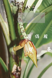 因信用卡逾期收到律師函（信用卡逾期所謂的律師事務(wù)所上門）