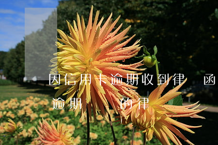 因信用卡逾期收到律師函（找專門處理信用卡逾期問題的律師）