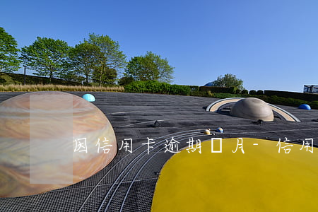 因信用卡逾期數月-信用卡6個月處于逾期