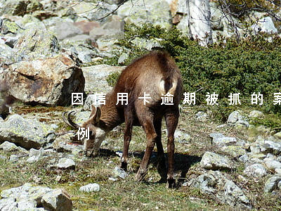 因信用卡逾期被抓的案例 欠信用卡被起訴案例