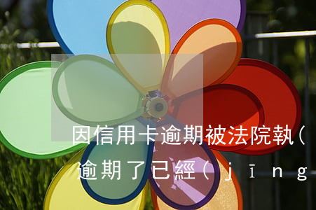 因信用卡逾期被法院執(zhí)行(信用卡逾期了已經(jīng)被法院判決了怎么辦)