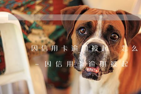 因信用卡逾期被起訴怎么處理興業(yè)-因信用卡逾期被起訴怎么處理興業(yè)銀行貸款