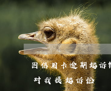 因信用卡逾期起诉银行(因为欠信用卡,银行将对我提起诉讼)