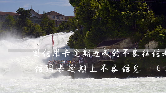 因信用卡逾期造成的不良征信是否可以消除（信用卡逾期上不良信息數(shù)據(jù)庫(kù)）