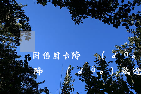 因信用卡降額導(dǎo)致逾期(因信用卡降額導(dǎo)致逾期)
