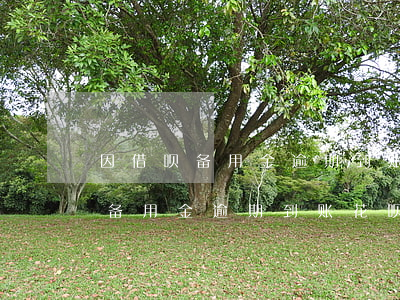 因借呗备用金逾期到账花呗被冻结-因借呗备用金逾期到账花呗被冻结怎么办