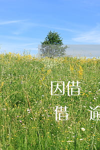 因借唄花唄逾期收到律師函是真的嗎(花唄跟借唄逾期了說要給我寄律師函是真的嗎)